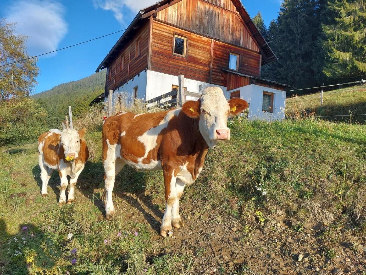 Karlbauer Huette Villa Lendorf Buitenkant foto